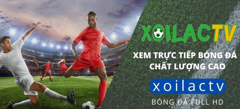 Hướng dẫn xem bóng đá online trực tiếp trên kênh Xoilac TV